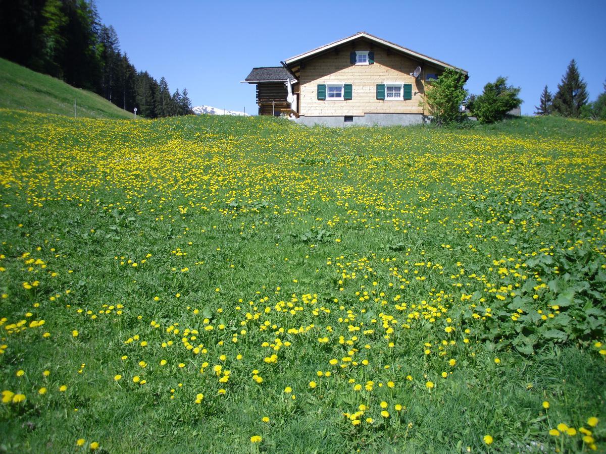 Maisaess Lifinarblick Schruns Exterior foto