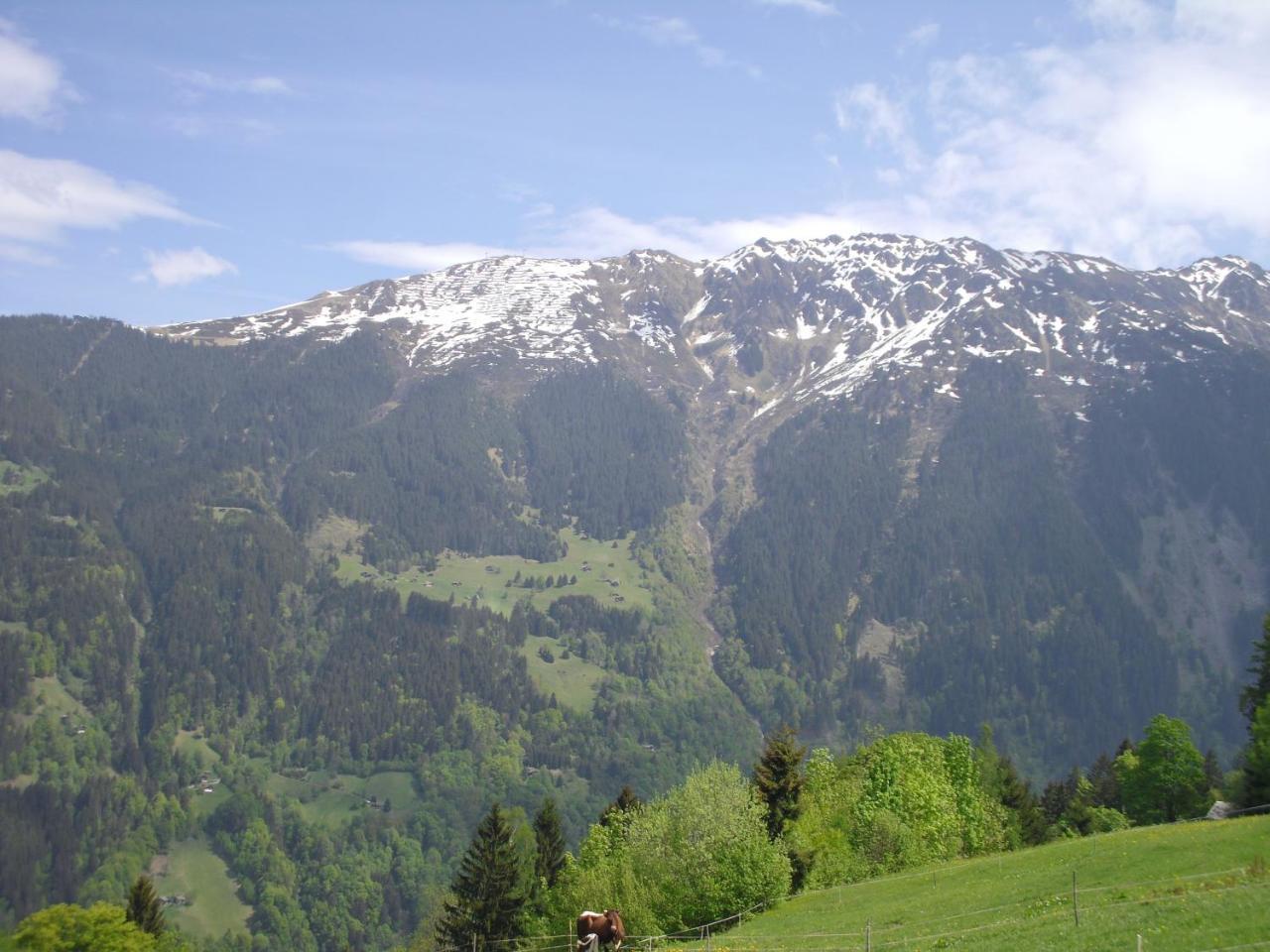 Maisaess Lifinarblick Schruns Exterior foto