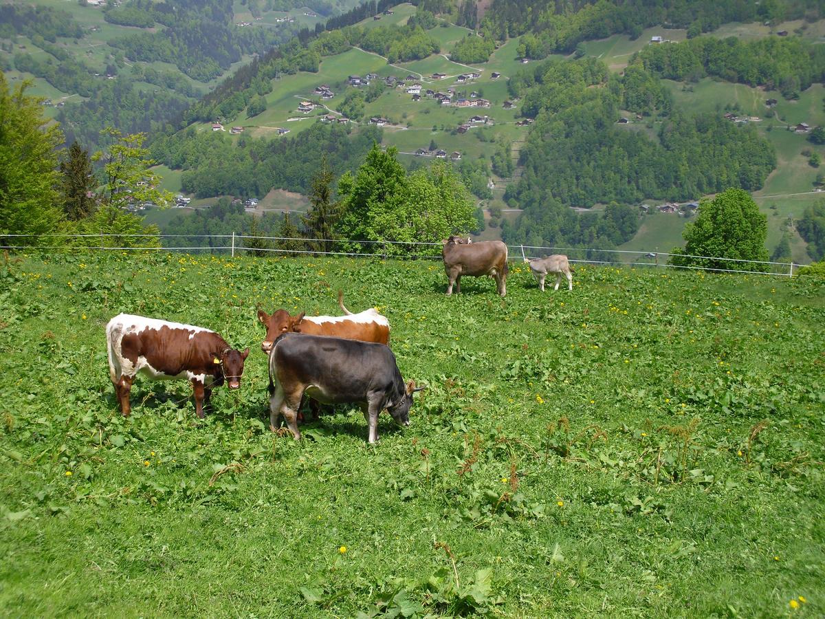 Maisaess Lifinarblick Schruns Exterior foto